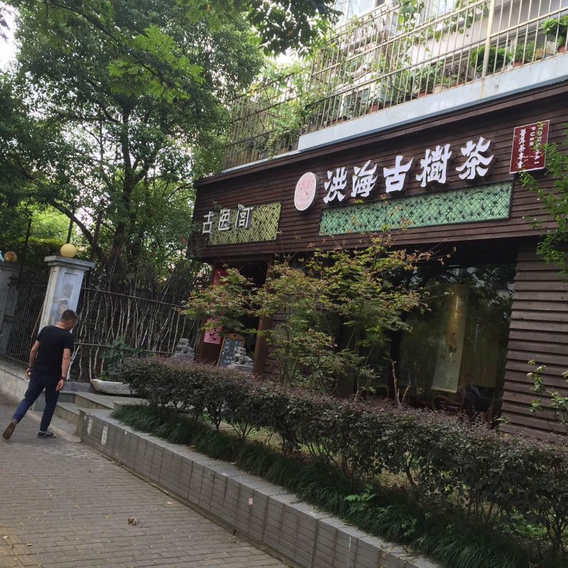 洪海古树上海店(图1)